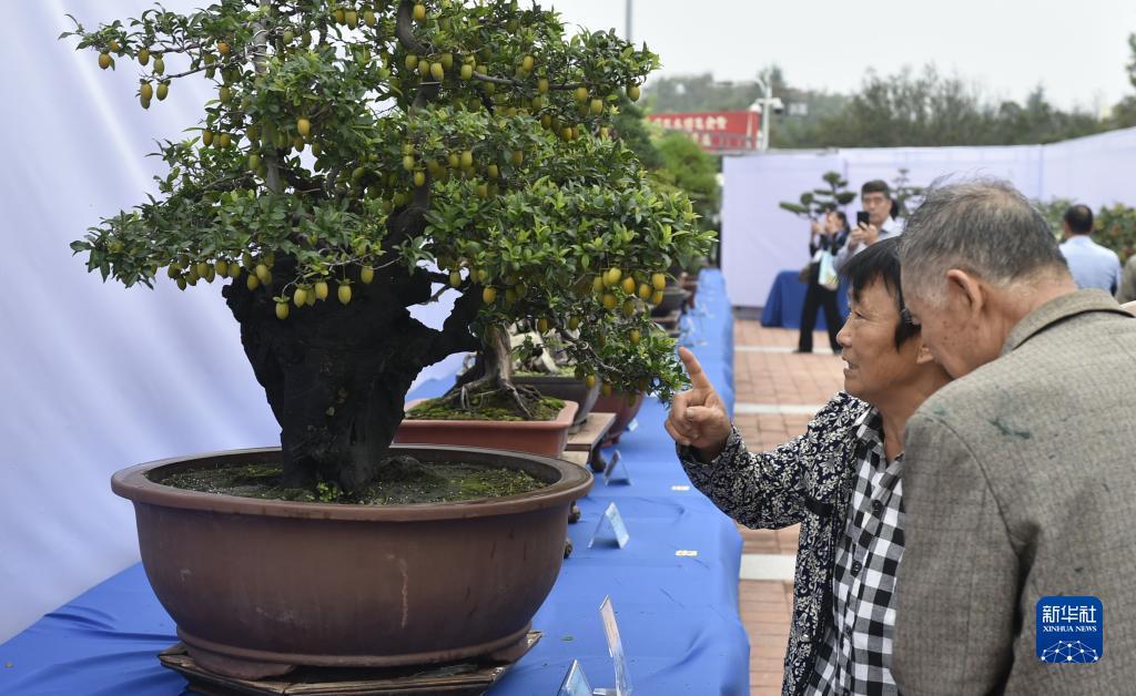 迷你纸牌游戏安卓
